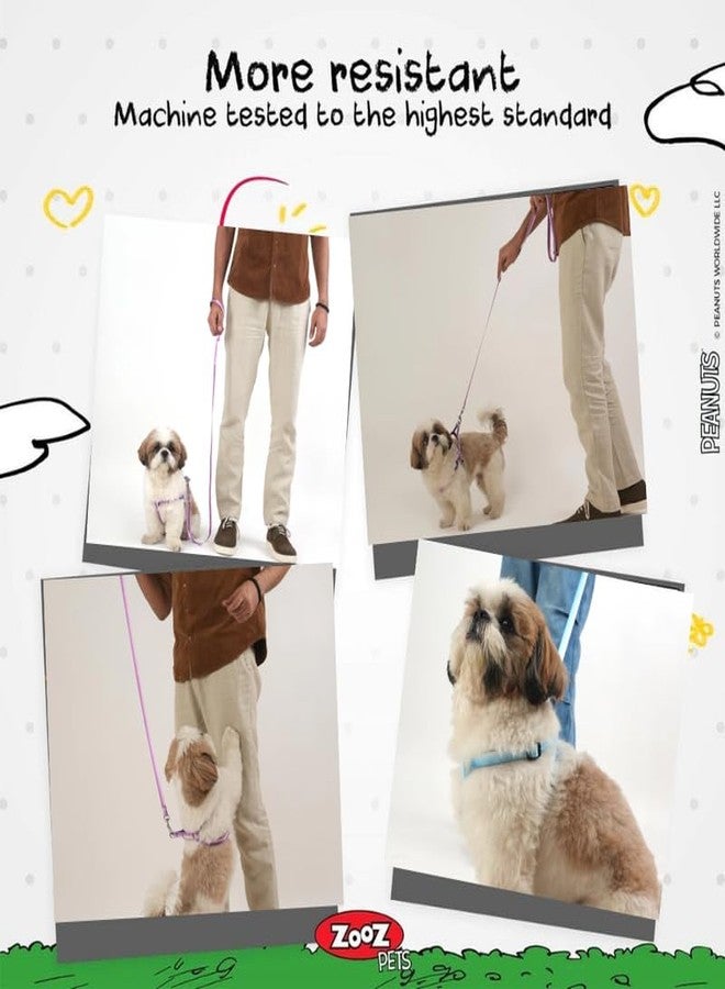 KittuPet Small Dog Harness and Leash Set, No Pull Dog Harness Adjustable Reflective, Dog Vest Harnesses Comfort Padded Handle, Pet Harness for Training Outdoor Walking, 15mm (Purple) - Image 3